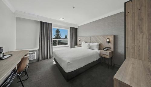 Standard Room, 1 Queen Bed