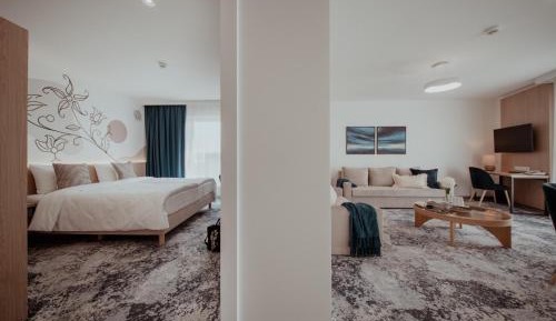 Deluxe One-Bedroom Apartment