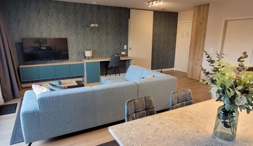Three-Bedroom Superior Apartment