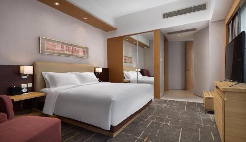 Director Suite