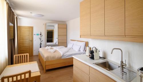 One-Bedroom Apartment with Terrace
