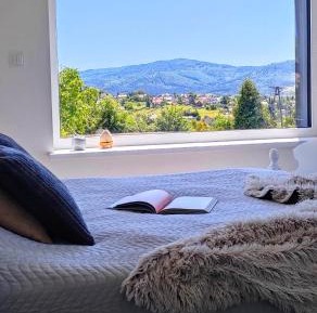 Two-Bedroom Apartment with Mountain View