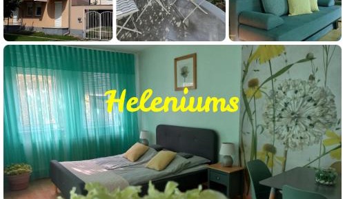 Deluxe Apartment with Balcony