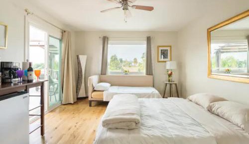 Deluxe Double or Twin Room with Pool Access