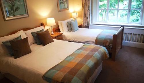 Triple Room with Terrace