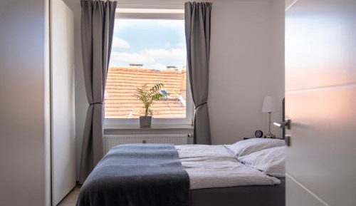 One-Bedroom Deluxe Apartment