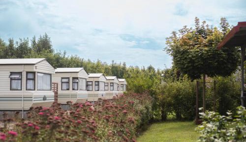 Mobile Home