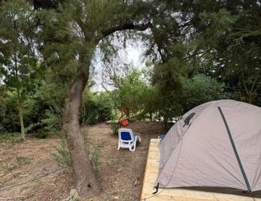 Tent