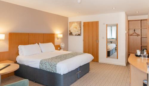 Luxury Twin Room