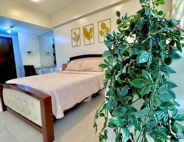 Deluxe One-Bedroom Apartment