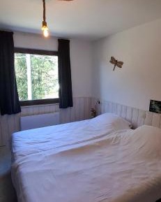 Budget Double or Twin Room