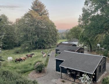 Holiday Home without kitchen