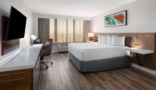 King Room