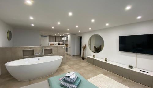 Deluxe One-Bedroom Apartment