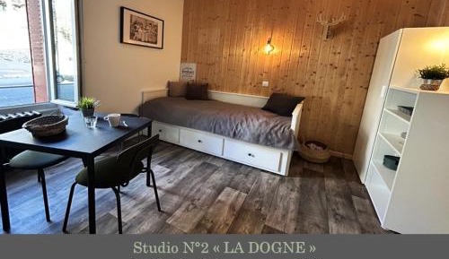 Studio with Sofa Bed