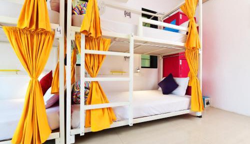Bunk Bed in Mixed Dormitory Room