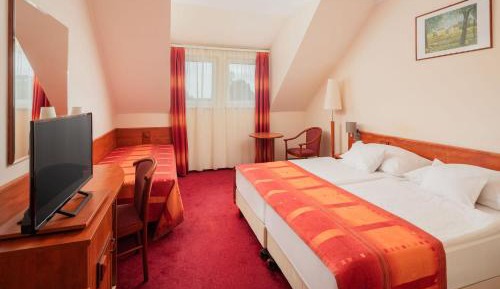 Zsuzsanna-wing standard triple room