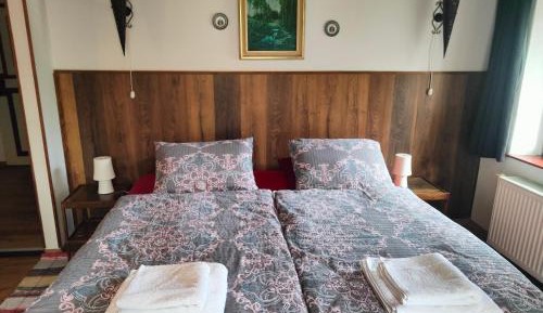 Superior Double or Twin Room