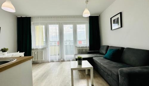 Four-Bedroom Deluxe Apartment