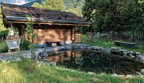 Cabin Summer