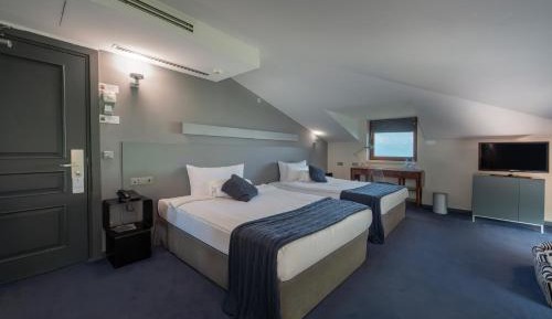 Twin Room - Attic