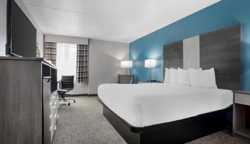 King Room - Pet Friendly