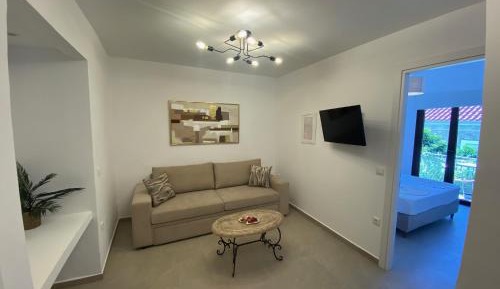 One-Bedroom Family Apartment