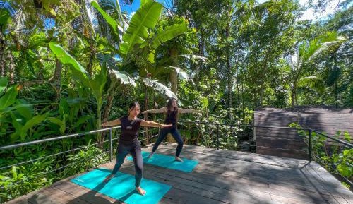 One Bedroom Villa with Jungle View