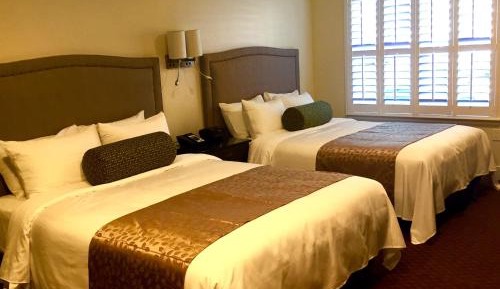 Superior Queen Room