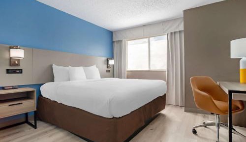 1 King Bed, 2 - Person Sofabed