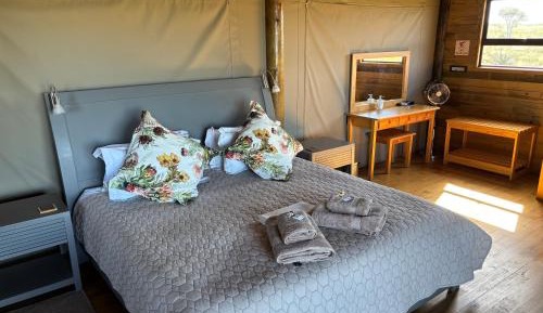 Tent
