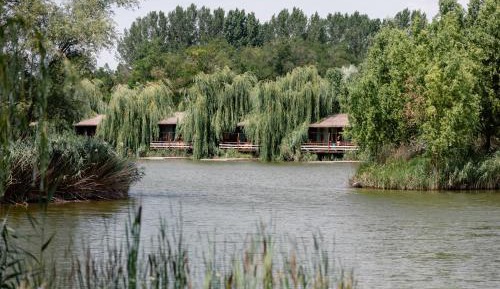 Bungalow - Water Front 