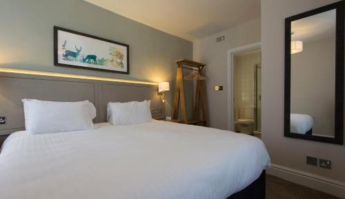 Double or Twin Room