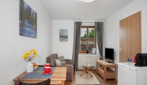 Superior One-Bedroom Apartment with Balcony
