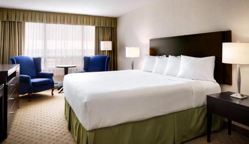 Executive King Room - Non-Smoking