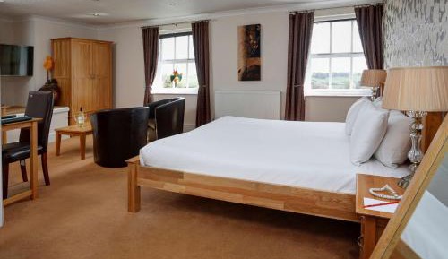 Superior King Room with View