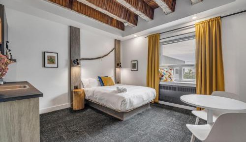 Queen Suite