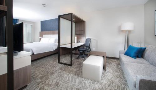 King Suite with Sofa Bed