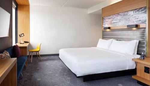 Allergy Free Room, Guest room, 1 King