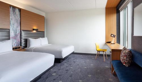Allergy Free Room, Guest room, 2 Queen