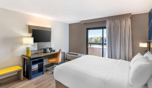 One Room Suite with Sofa bed - Non Smoking