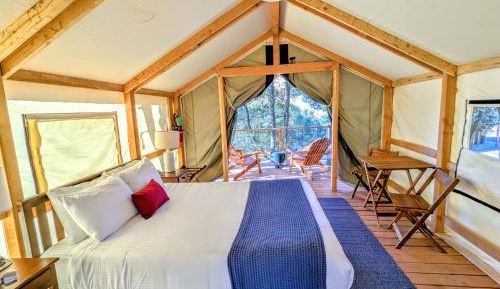 Premium Tent - 1 Queen 