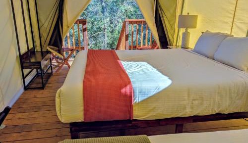 Standard Tent - 2 Queen