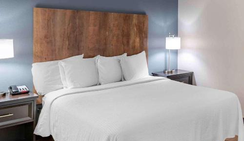 Studio with 2 Double Beds - Non-Smoking