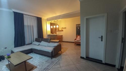 Deluxe One-Bedroom Apartment