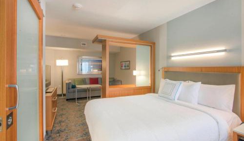 King Suite with Sofa Bed