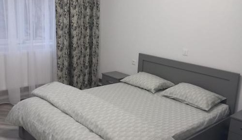 Deluxe One-Bedroom Apartment