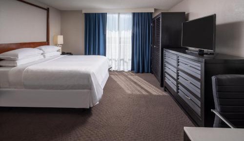 Suite, 1 King, Sofa bed