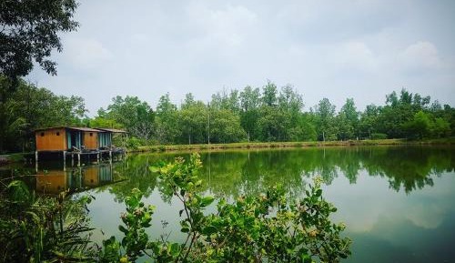Double Room with Lake View