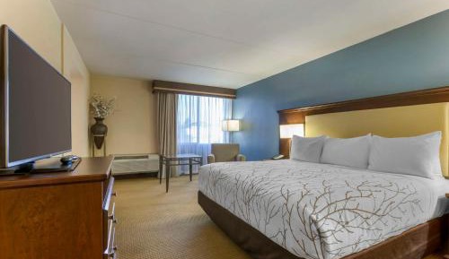 King Suite with Sofa Bed and Courtyard View - Non-smoking